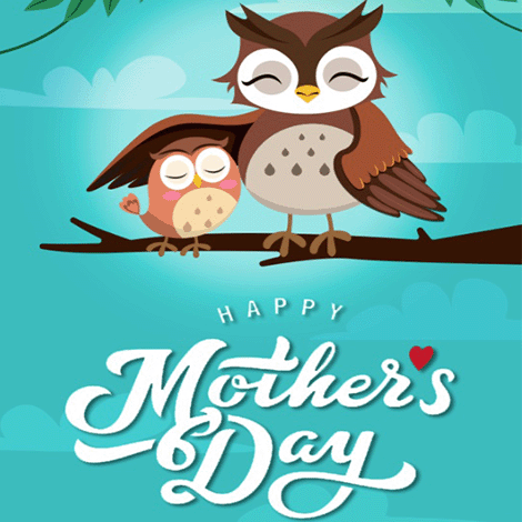 Mother's Day Owl Humor